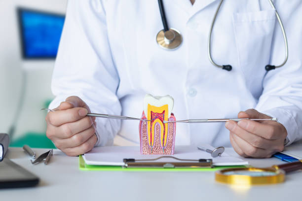 Best Weekend Emergency Dentist in Albers, IL